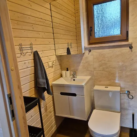 Dziczek Holiday home Borsk