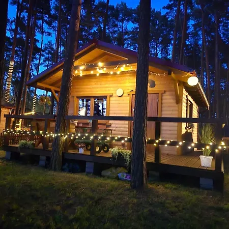 Holiday home Dziczek Borsk