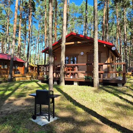 Holiday home Dziczek Borsk