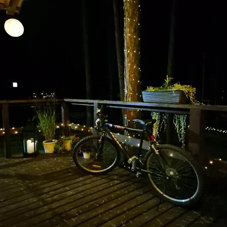 Dziczek Holiday home Borsk