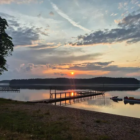 Dziczek