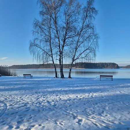 Dziczek